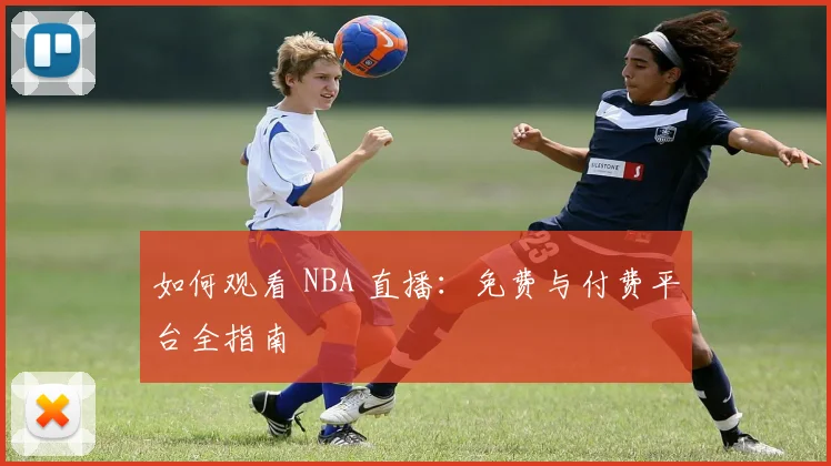 如何观看 NBA 直播：免费与付费平台全指南